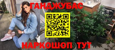 сатива Дубна