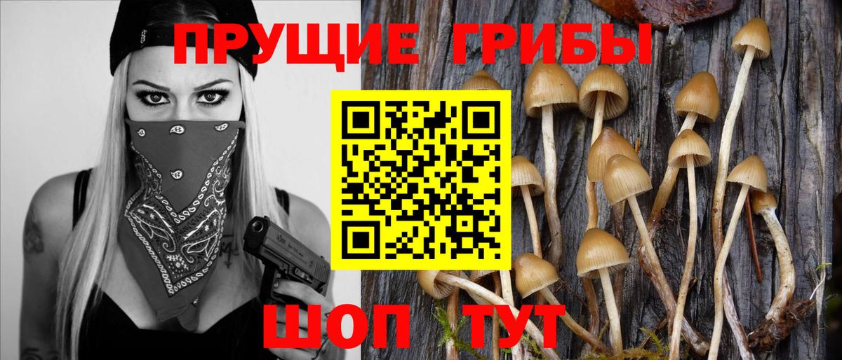 Псилоцибиновые грибы мицелий Каменск-Уральский