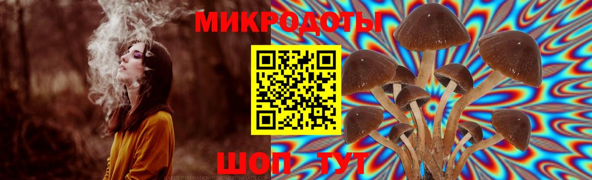 Каменск-Уральский  Галлюциногенные грибы Cubensis  Вход с VPN 